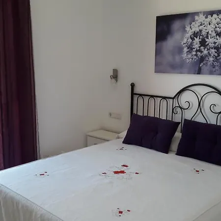 Hébergement de vacances Duplex Atlan Ii *